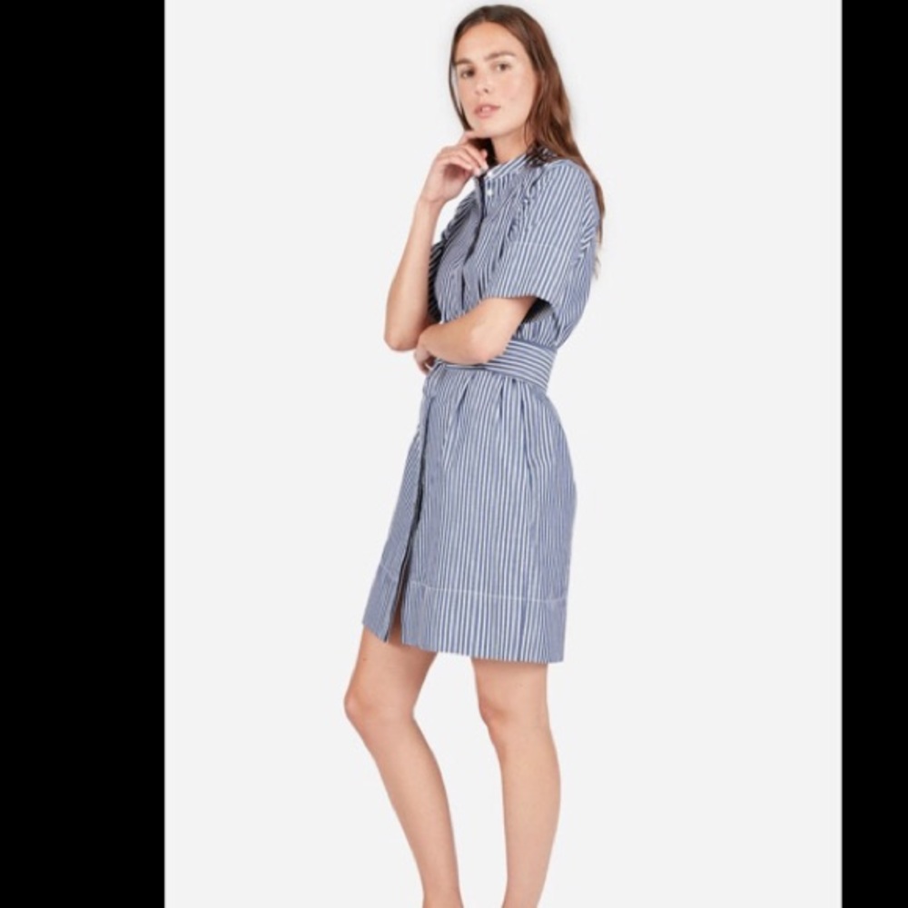 Everlane Cotton Striped Shirtdress Sz 00